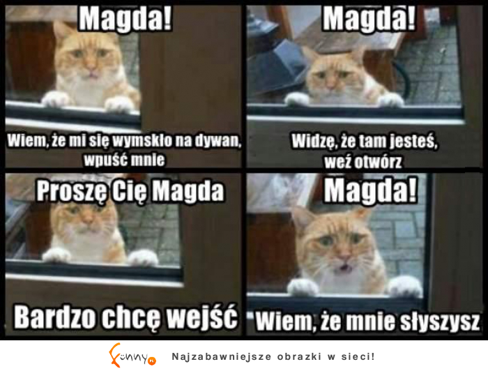 Magda! Wpuść koteła :D