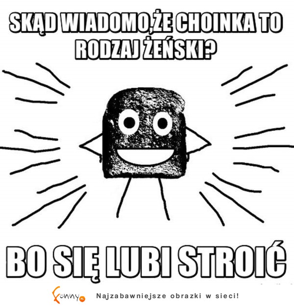 Choinka jaki to rodzaj