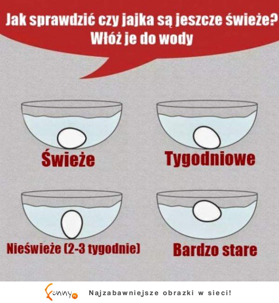 ZOBACZ sprawdzony sposób na jajka :D