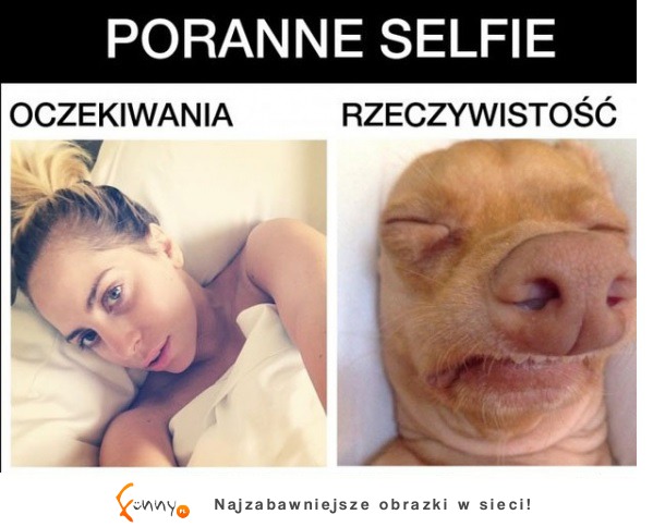 Poranne selfie