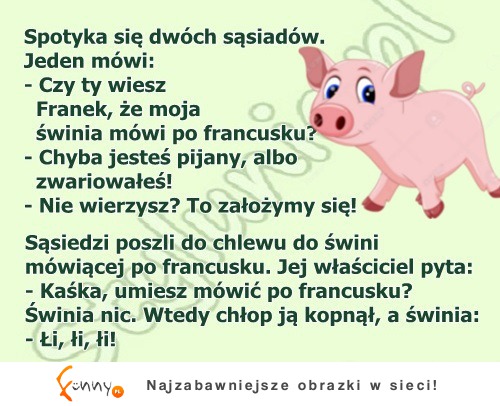 Ten facet udowodnil, że ma swinie mówiącą po francusku! HAHA