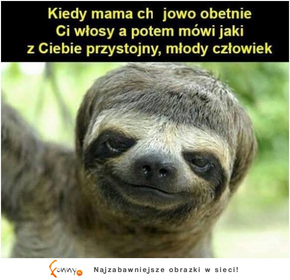 Wygląda super