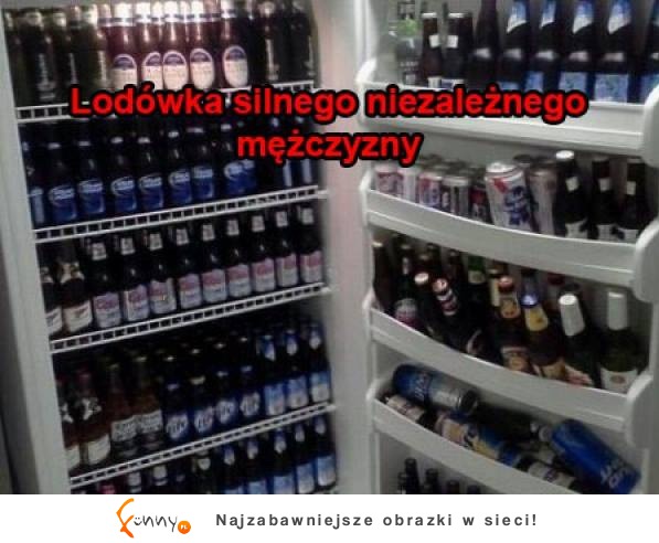 Lodówka silnego niezależnego mężczyzny