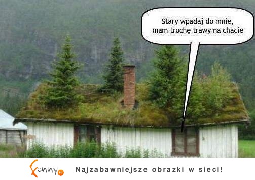 Tylko trochę?