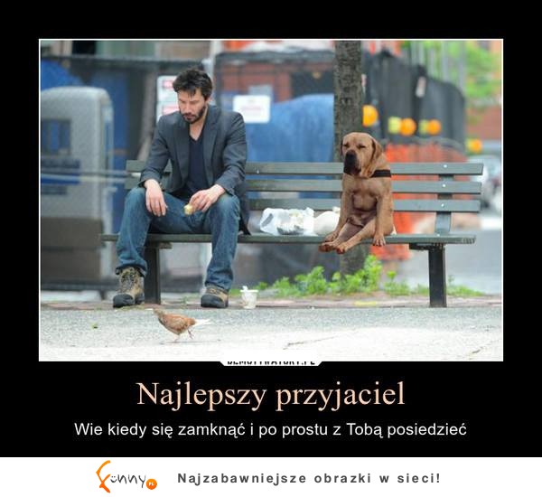 Najlepszy przyjaciel