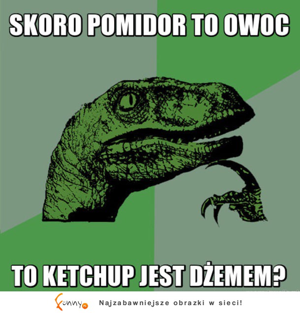 Pomidor to owoc