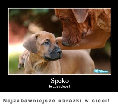 Spoko, będzie dobrze :D