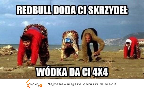 Skrzydła