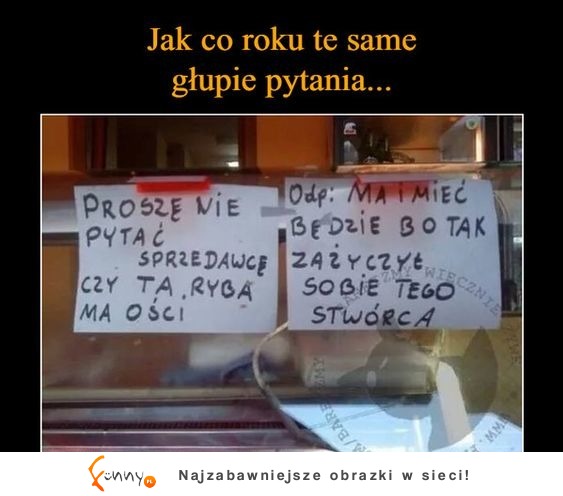 RYBA MA OŚCI