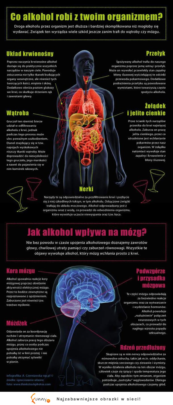 Jak alkohol działa na Twój organizm? Zobacz zanim zaczniesz pić! ;)