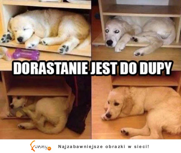 dorastanie :(