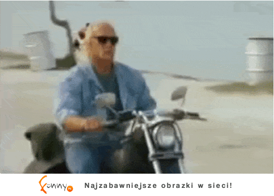 Mistrzowie drugiego planu Mistrzowie drugiego planu