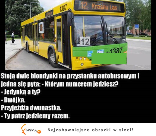 Blondynki czekają na autobus, zgadnij co wymyśliły ;)