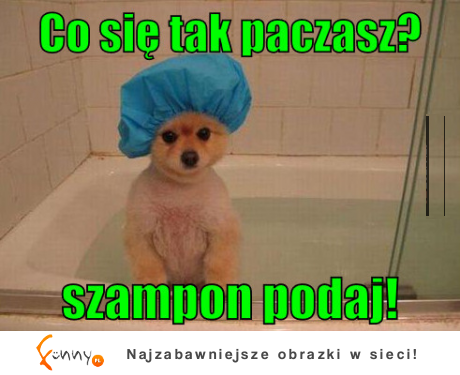 Co się tak paczasz