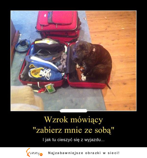 Wzrok mówiący