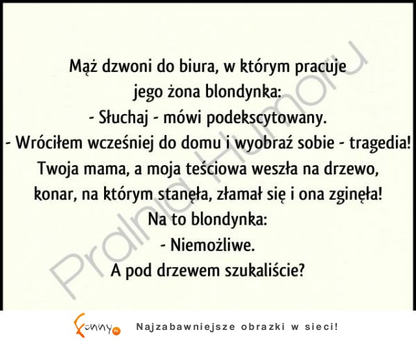 Blondynka jak zwykle zrozumiała po swojemu! MASAKRA!