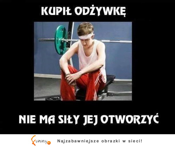 Odżywka