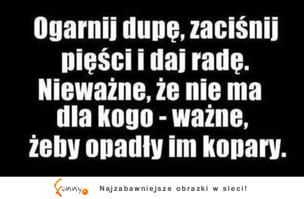 Ogarnij dupę, zaciśnij pięści i daj radę.