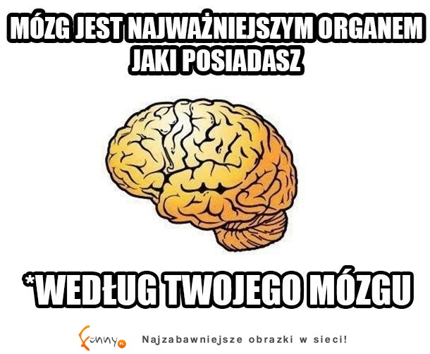 W sumie to można powiedzieć, że jest z niego mały NARCYZ ;D