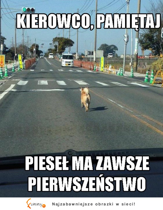 Kierowco, pamiętaj!