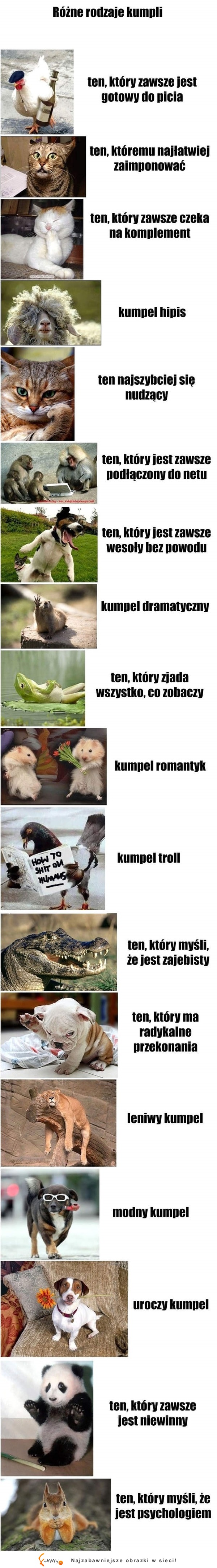 Rodzaje kumpli :D Których masz?