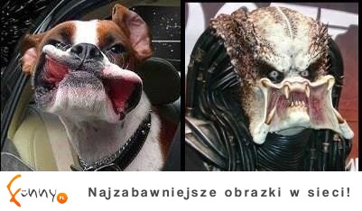 znajdź różnicę