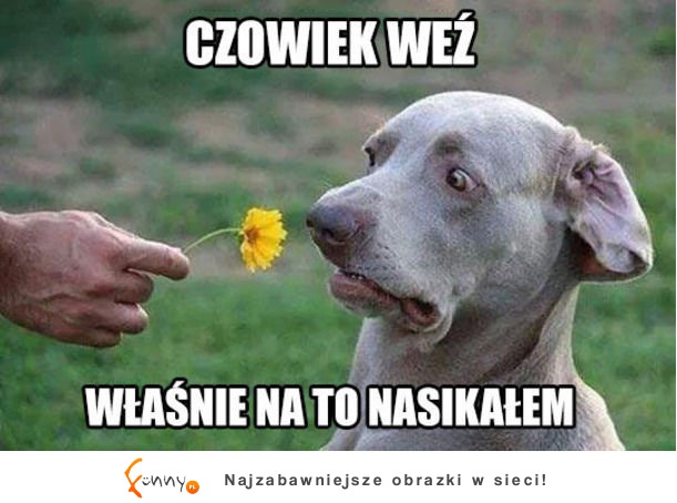 Czowiek weź