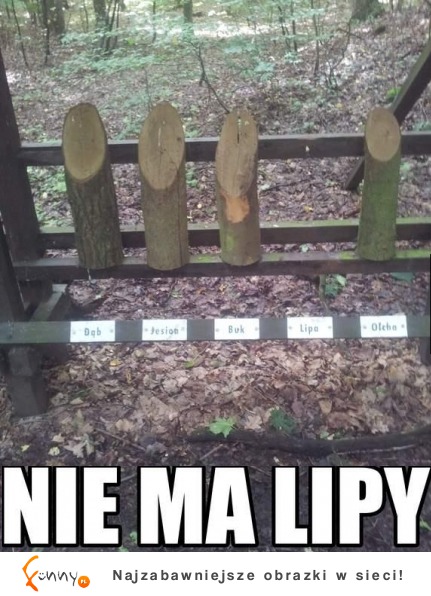 Nie ma lipy!