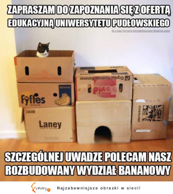 Uniwersytet Pudłowskiego