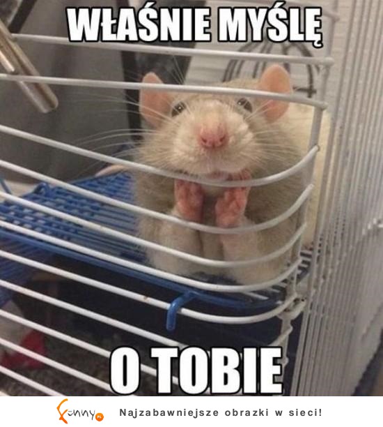 Właśnie myślę o Tobie!