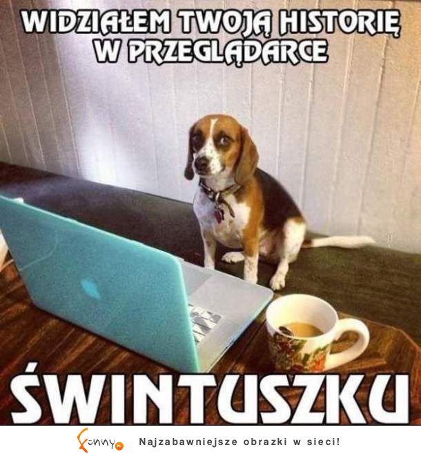 Świntuszku