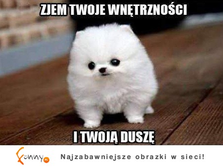 Zjem twoje WNĘTRZNOŚCI :D