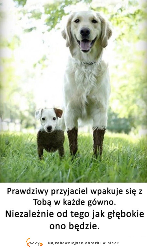 Prawdziwy przyjaciel