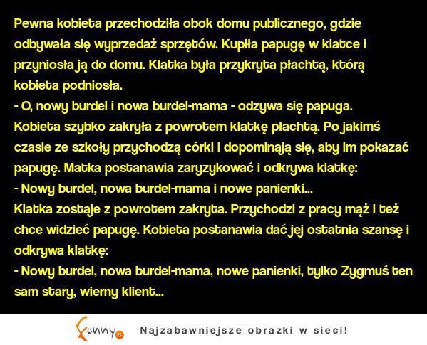 Pewna kobieta przechodziła obok domu publicznego. Kupiła papuge w klatce i przyniosła ją do domu! ZOBACZ czego  nauczyła się papuga! DOBRE :D