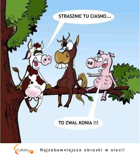 Strasznie tu ciasno :)