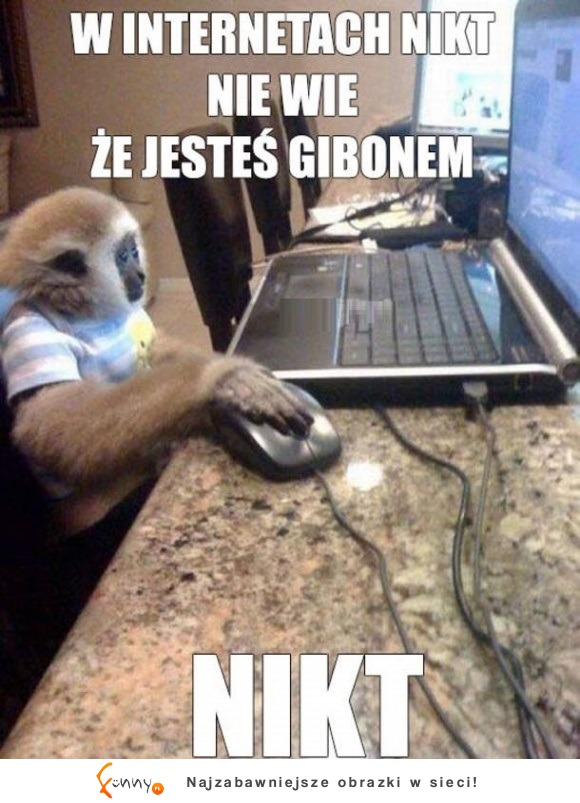 w internecie nikt nie wie