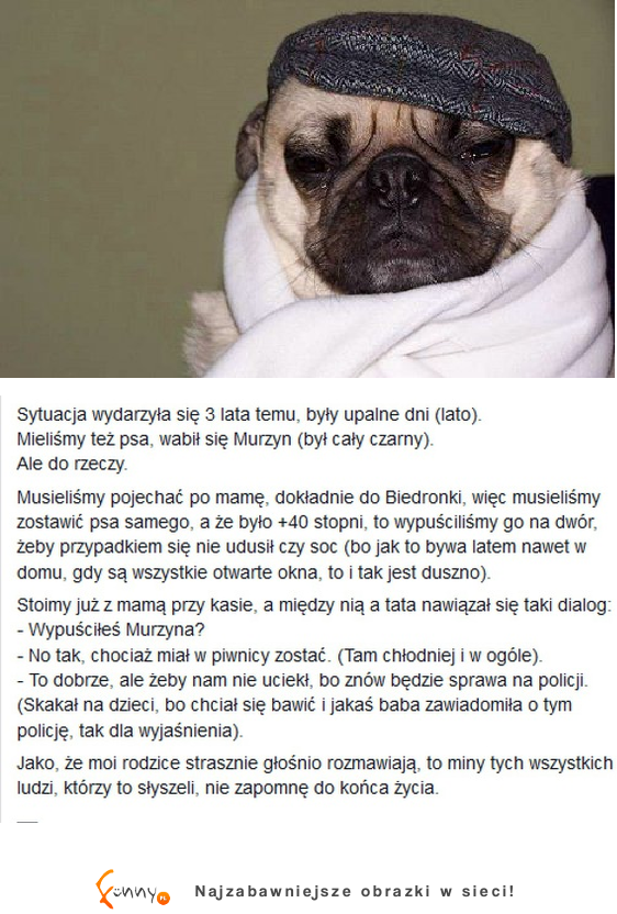 O MATKO jak oni nazwali psa?! HAHA to tylko przysporzy im śmiechu w sytuacji, takiej jak ta XD O MATKO jak oni nazwali psa?! HAHA to tylko przysporzy im śmiechu w sytuacji, takiej jak ta XD