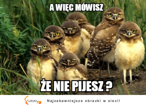 Nie piję