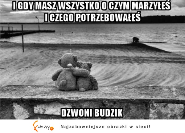 Dzwoni budzik...