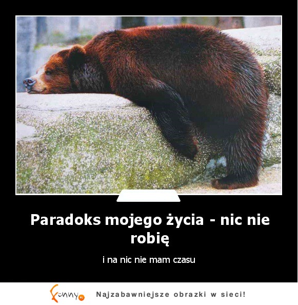 Paradkos mojego życia - nic nie robię :D