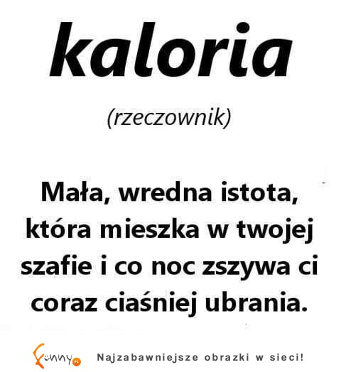 kaloria