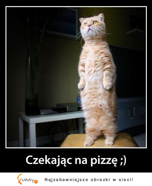 Czekając na pizzę :)