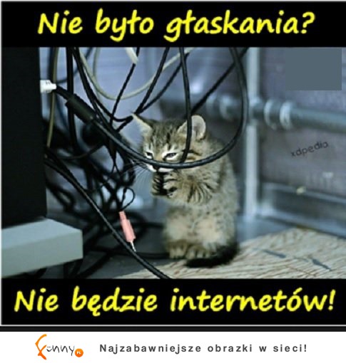 Nie ma internetu