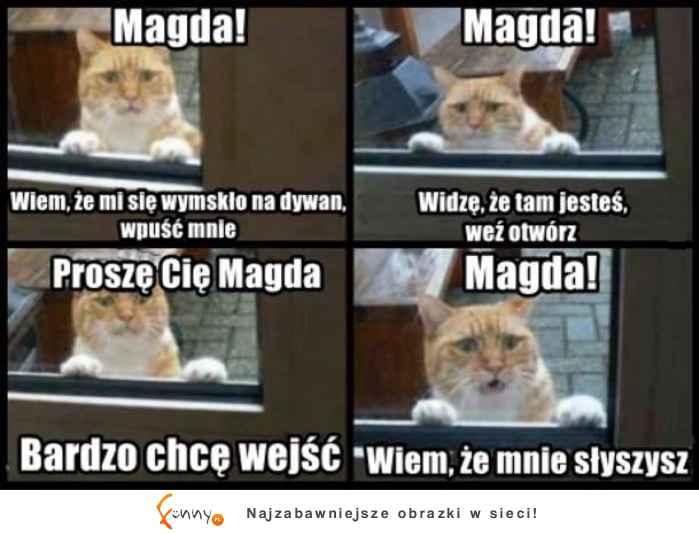 Magda! Wpuść koteła haha