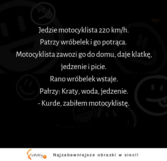 Co się dzieje z wróbelkiem, jak wpadnie na motocyklistę :D