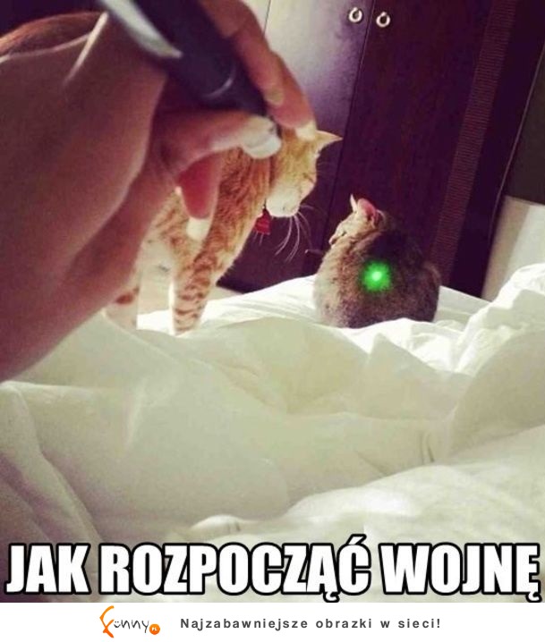 Jak rozpocząć wojnę