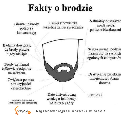 Najlepsze fakty o brodzie! ZOBCZ czy warto zapuszczać! :D