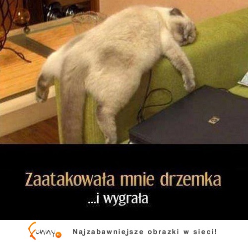 Zaatakaowała mnie