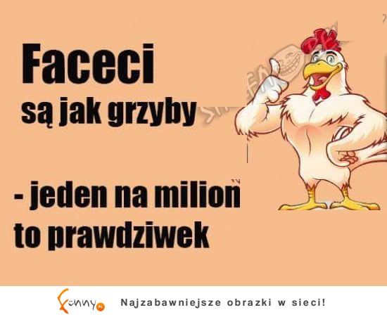 Wiesz dlaczego FACECI są jak GRZYBY. HAHA! MOCNE!