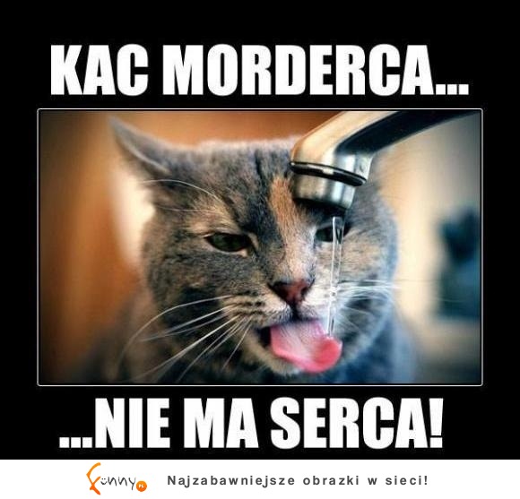 Kac morderca...